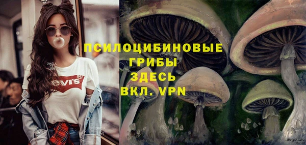 mdpv Балабаново