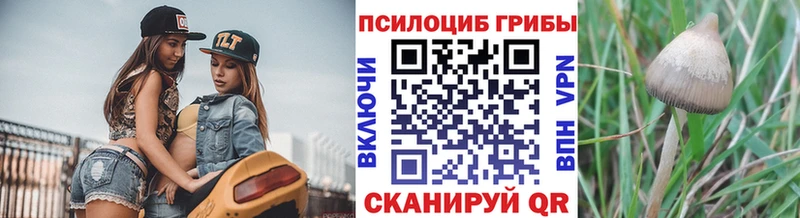 Псилоцибиновые грибы MAGIC MUSHROOMS  Сысерть 